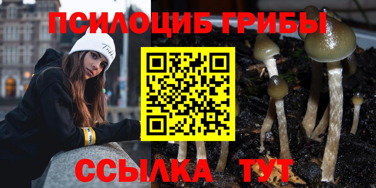Пятигорск  Галлюциногенные грибы ЛСД  Вход с VPN 