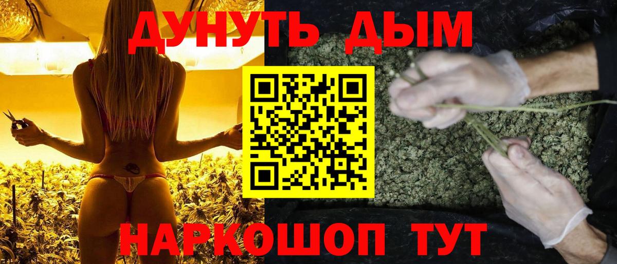 Бошки марихуана марихуана Пятигорск